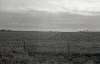Farm field and fence