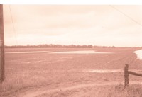Fenced farmland with Water in the Field
