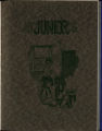 1917 Yearbook