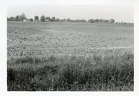 1980s - Results of too much rain