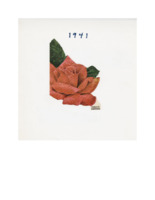 Rose of the year 1941-1973