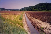 Little Mill Creek, 1999