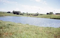 Lundquist farm pond and wildlife areas.