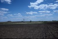 Wetland Area on Henry Hanby's Farm.