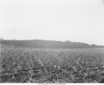 Morainic knob, Carroll, Iowa, late 1890s or early 1900s