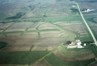 Kent Marshall farmland