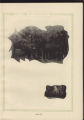1921 Yearbook