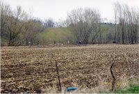 1999 Flint Creek Work day on Richard Olson's property