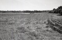 1970s Earthmoving machinery in field