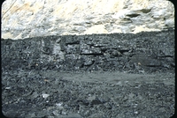 Harry Gillis' strip mine.