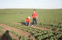 Quad State Award winners Frank and Marcia Escue farm.