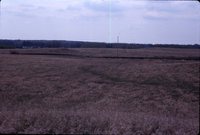 Larry Braby's Farm Before and After a Wetland Construction Project.