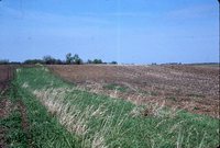 Sediment basin in a farm field.