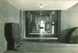Botany building hallway with large tree cross sections, The University of Iowa, 1930s?
