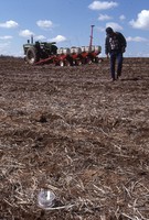 No-till and residue test in sod.