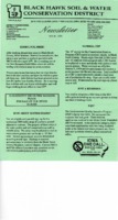 Annual Report, 1998