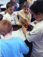 Students make pine cone bird feeders