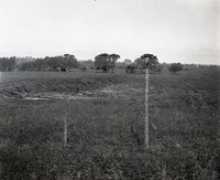 Views of Pasture and Grasslands