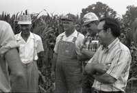 1978  No-till corn tour