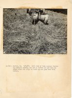 1934 - 1938 Multi-State Photograph Collection  