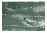 Swimmers in race at swim meet, The University of Iowa, March 1967