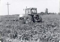 Weed control spraying