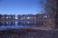 Wetland Restoration Project.