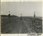 Plained furrows, 1942