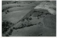 1966 - Unidentified Views of Farmland from Plane