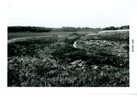 Marten's Ditch, 1962