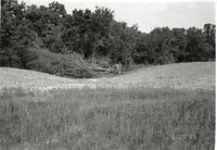 1995  Proposed Terracing Project site on Dale Edmonds' farm