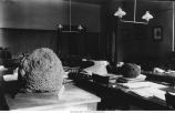 Botanical Laboratory, south room, Old Science Hall