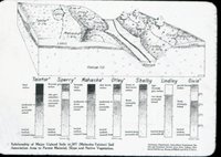 Upland Soil Chart