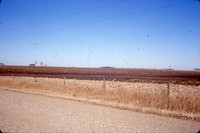 Lack of winter cover on the Harold Dorr farm in Marcus, Iowa.