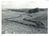 Waterway on Paul Miller farm, 1963