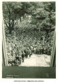 Induction ceremony at Old Capitol, The University of Iowa, September 28, 1927
