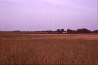 Larry Braby's Farm Before and After a Wetland Construction Project.