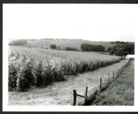 Field Headland 
