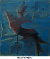 Chimera Series