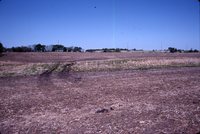 Larry Braby's Farm Before and After a Wetland Construction Project.