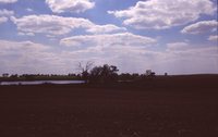 Wetland on the Wyatt Farm.