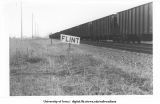 Flint, IA. (EX)CRIP
