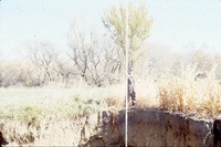 Measuring erosion damage in Silver Township.