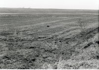 Dry fields