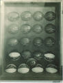 Basketball trophy case in the Old Armory, the University of Iowa, 1925