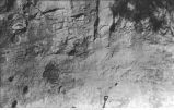Close view of materials in north face of gully exposure, showing Buchanan gravels at bottom, yellow Loess at top, silt and residual material intervening, Iowa, late 1890s or early 1900s.