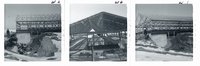 Ron Tracy feedlot with 100 heard loafing shed