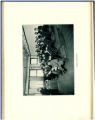 1913 Yearbook