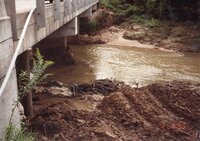 1993 Flint River Bridge after flood