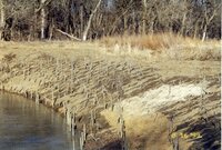 1999 Robert Yaeger Flint Creek Stream bank restoration